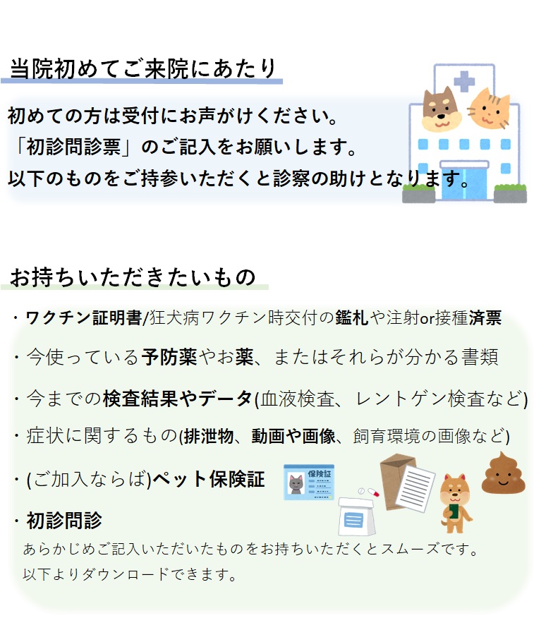 診療内容
